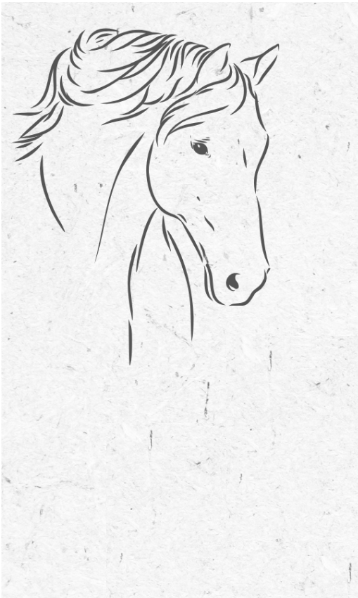 Document Collection Logo